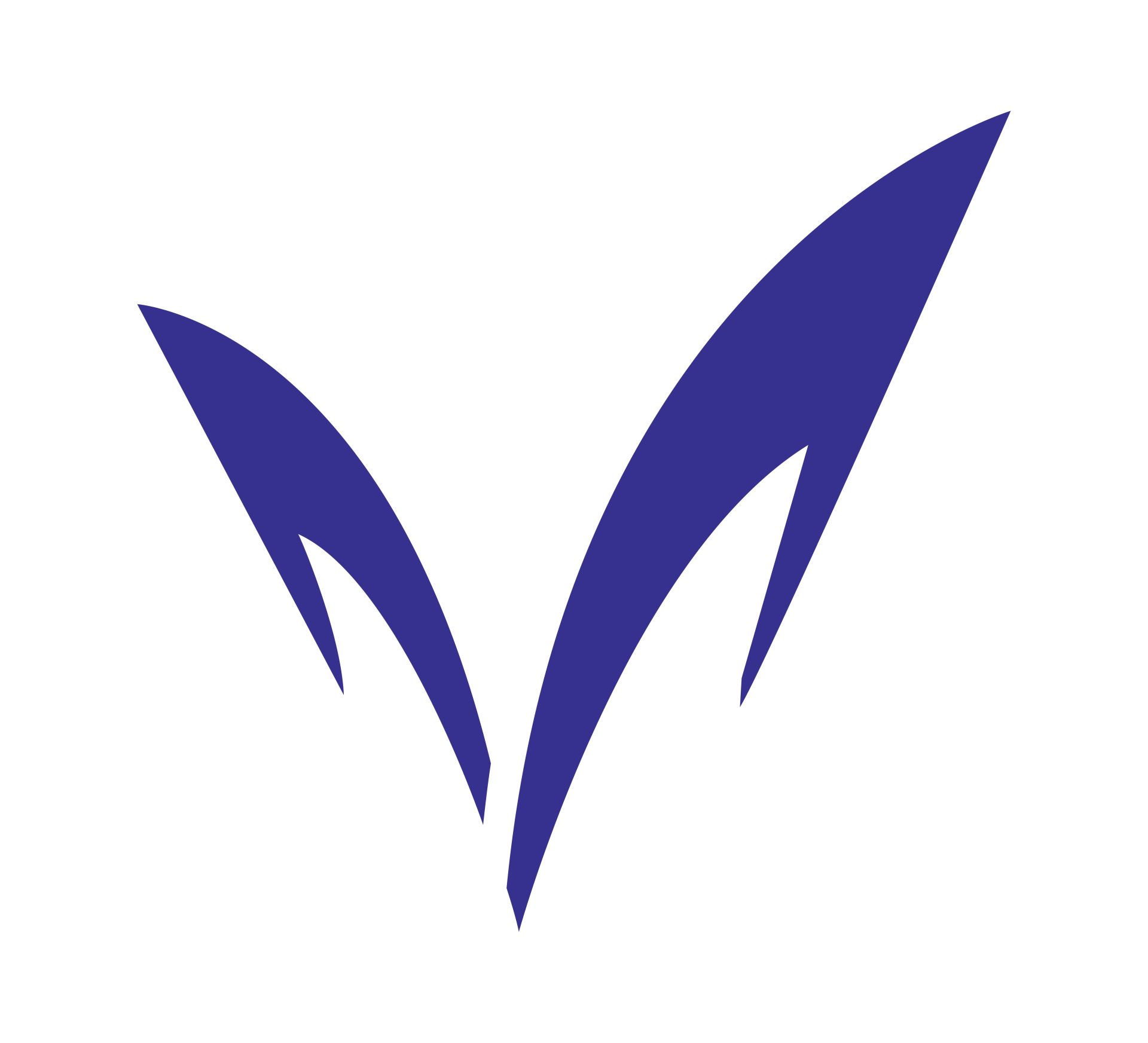 明治大学